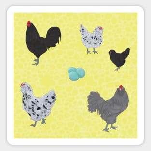 BBS Ameraucana Pattern Yellow Sticker